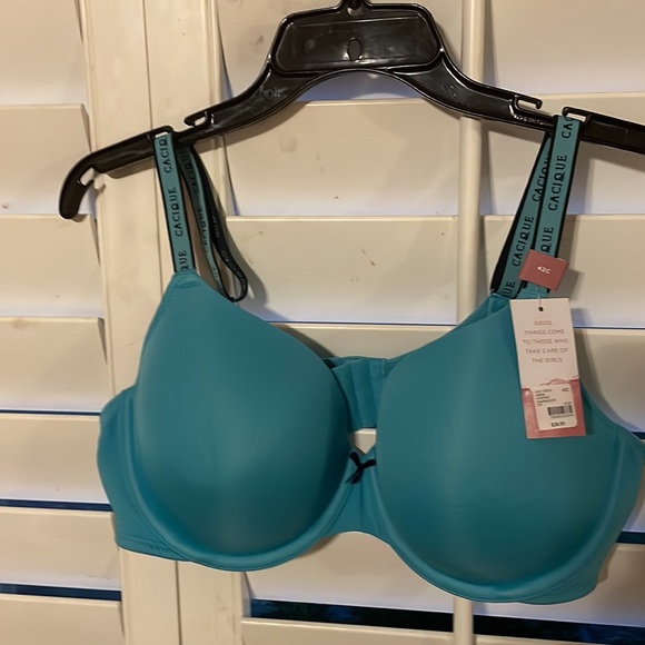 Lane Bryant CACIQUE lightly lined t-shirt bra.  Size 42C - Picture 4 of 5